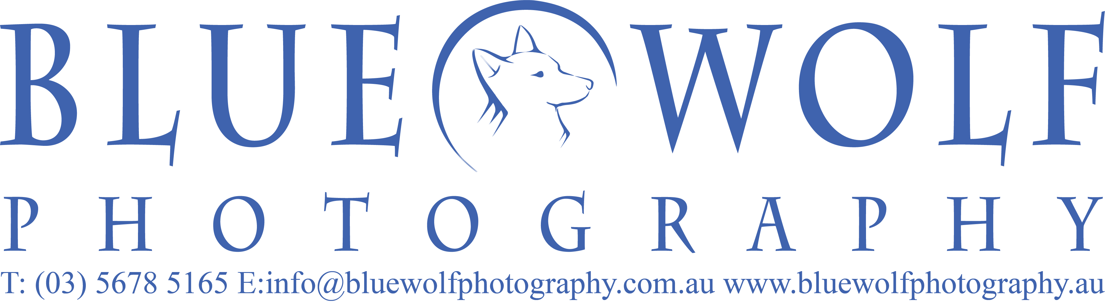 Blue Wolf Photography